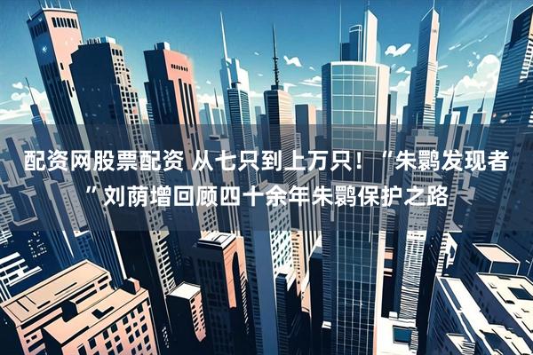 配资网股票配资 从七只到上万只！“朱鹮发现者”刘荫增回顾四十余年朱鹮保护之路