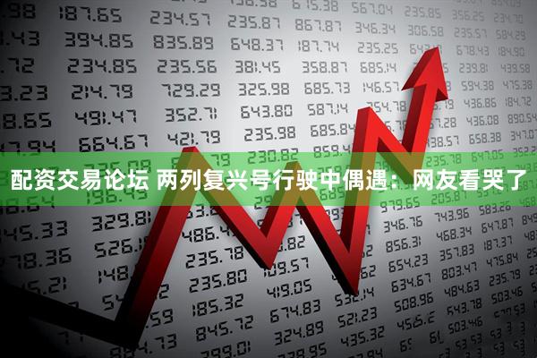 配资交易论坛 两列复兴号行驶中偶遇：网友看哭了