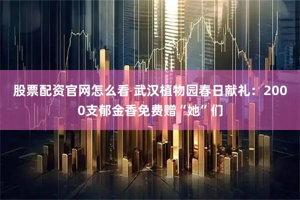 股票配资官网怎么看 武汉植物园春日献礼：2000支郁金香免费赠“她”们