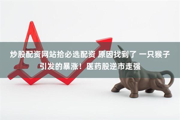 炒股配资网站拾必选配资 原因找到了 一只猴子引发的暴涨！医药股逆市走强